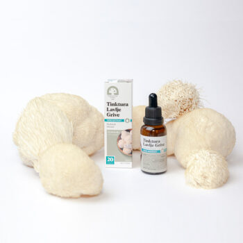 Tinktura Lavlje Grive - Slika 4
