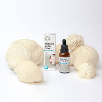 Tinktura Lavlje Grive - Slika 6