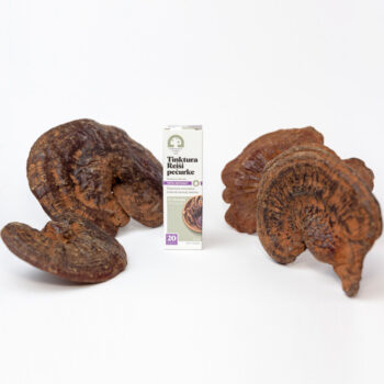 Tinktura Reiši pečurke - Slika 4