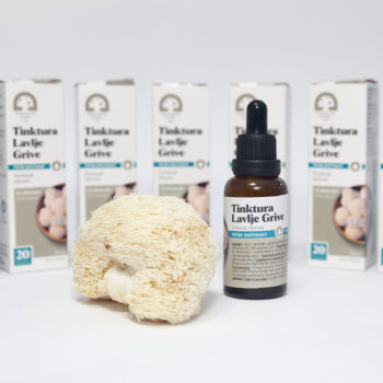 Tinktura Lavlje Grive - Slika 7